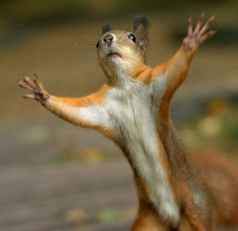 Желаю тебе вот столько счастья