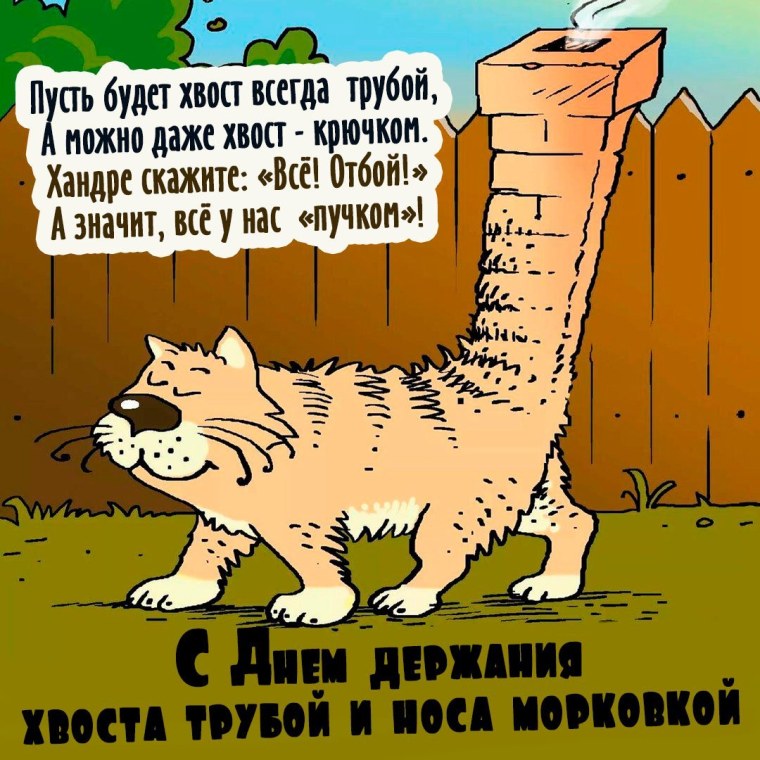 Хвост трубой!