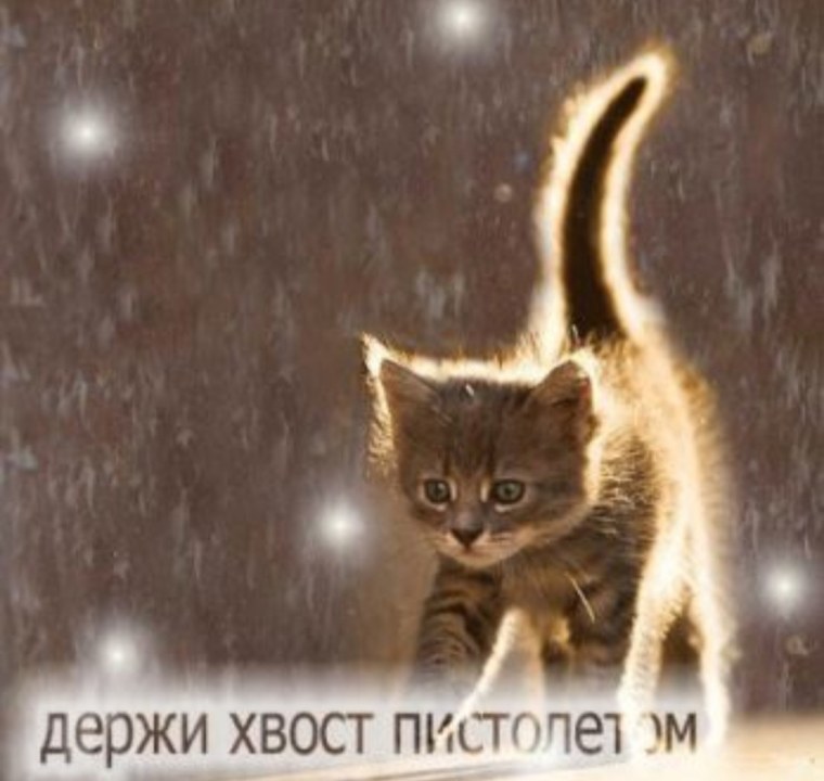 Хвост пистолетом