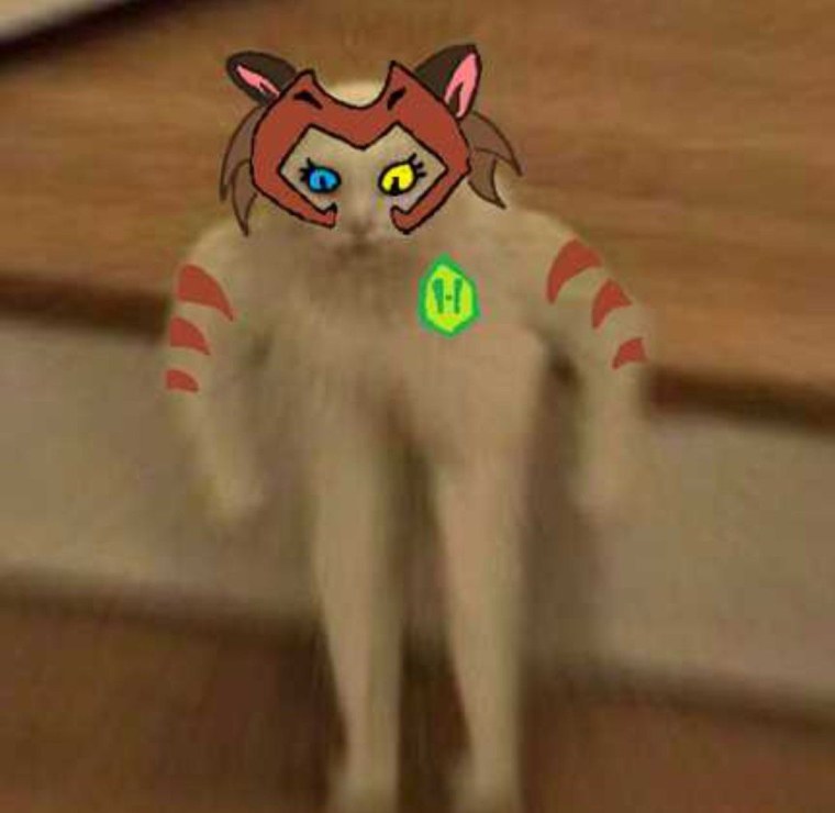 Мем Полукот