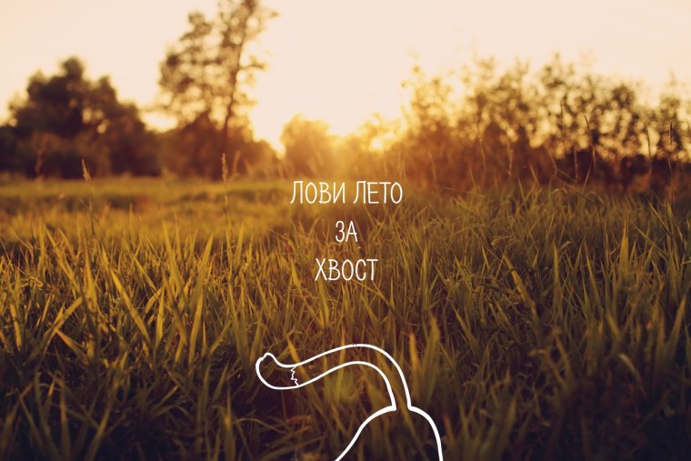 Ловим лето за хвост