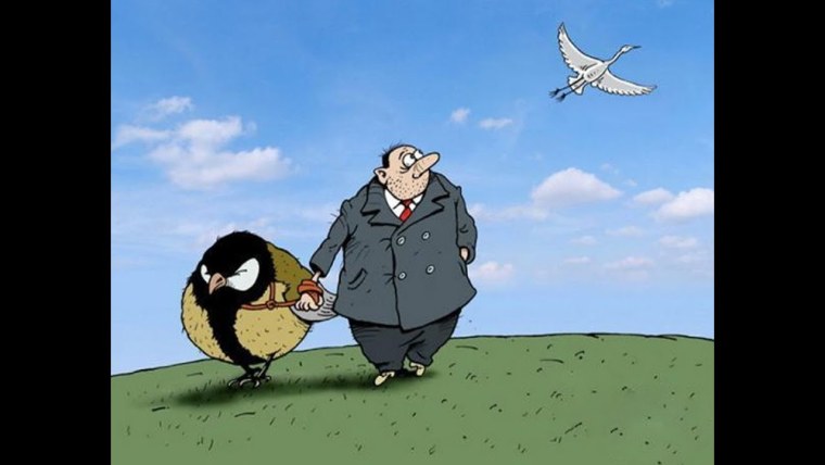 Лучше синица в руках