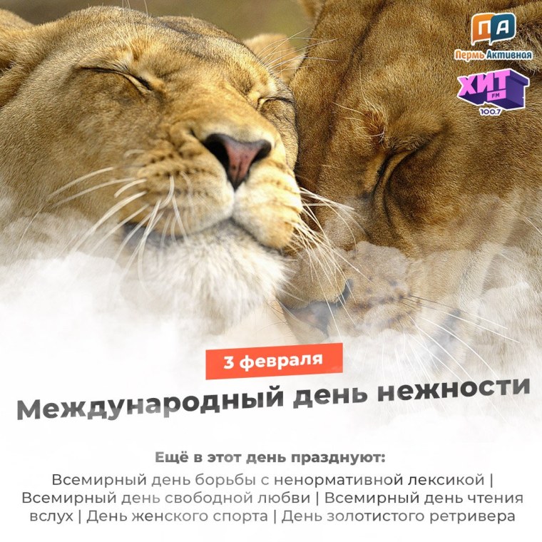 Международный день нежности 3 февраля