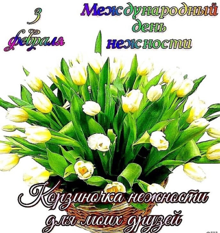 День нежности 3 февраля