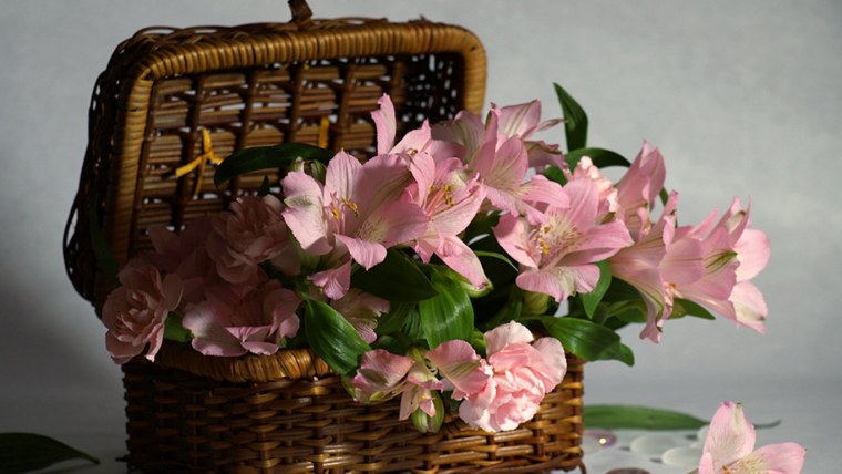 С̠ д̠н̠е̠м̠ р̠о̠ж̠д̠е̠н̠ь̠я̠ Лариса