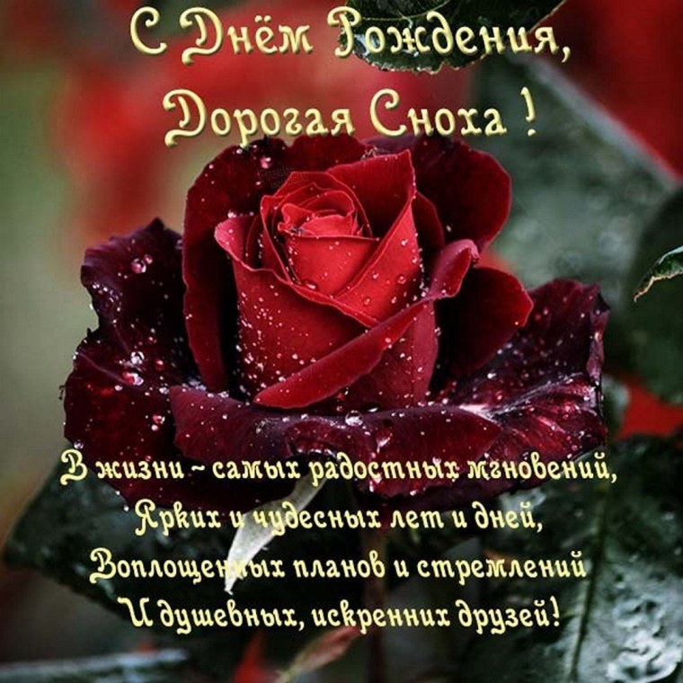 Поздравления с днём рождения невестке