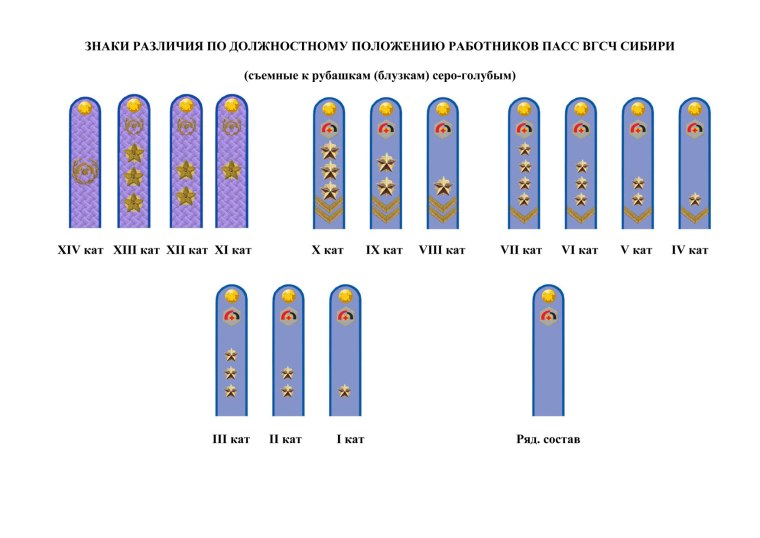 МЧС ВГСЧ погоны и звания