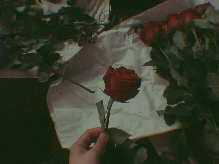 Эстетика красный темно зеленый