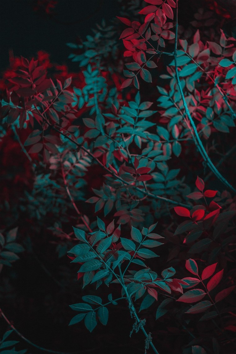 Красный фон Эстетика