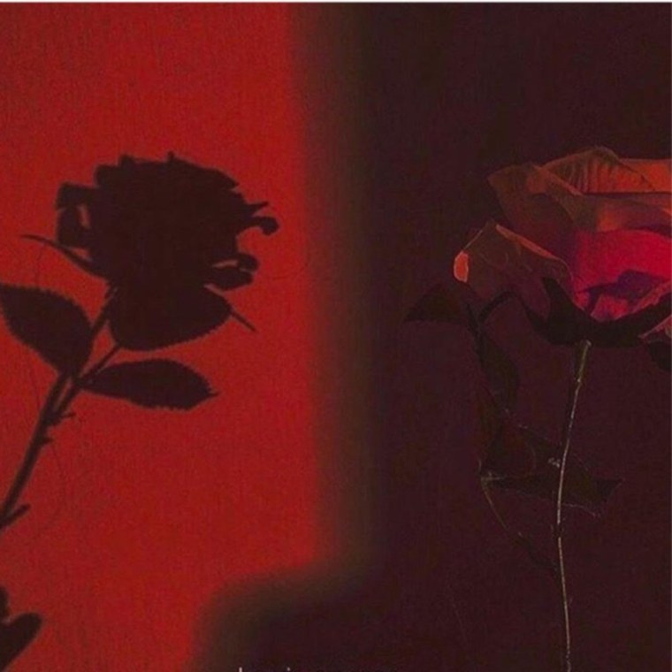 Дарк Роуз Эстетика