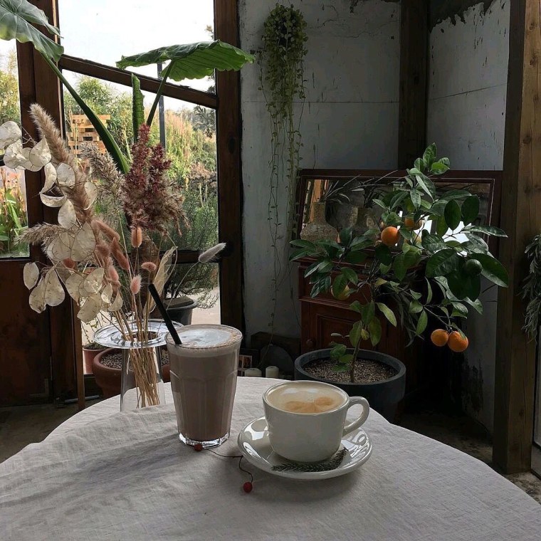 Эстетика коричневого и зеленого