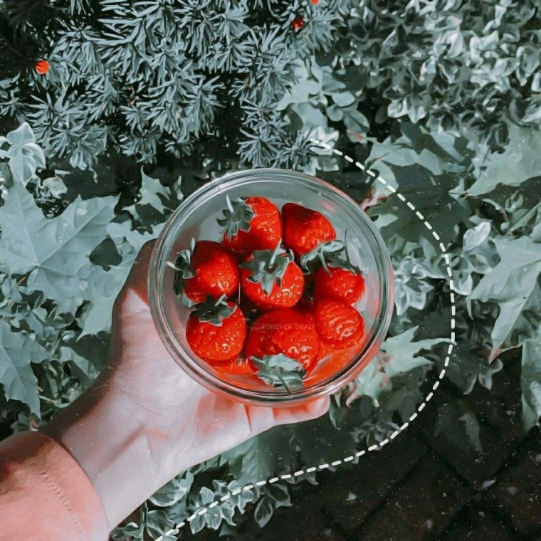 Зелено красно белая Эстетика