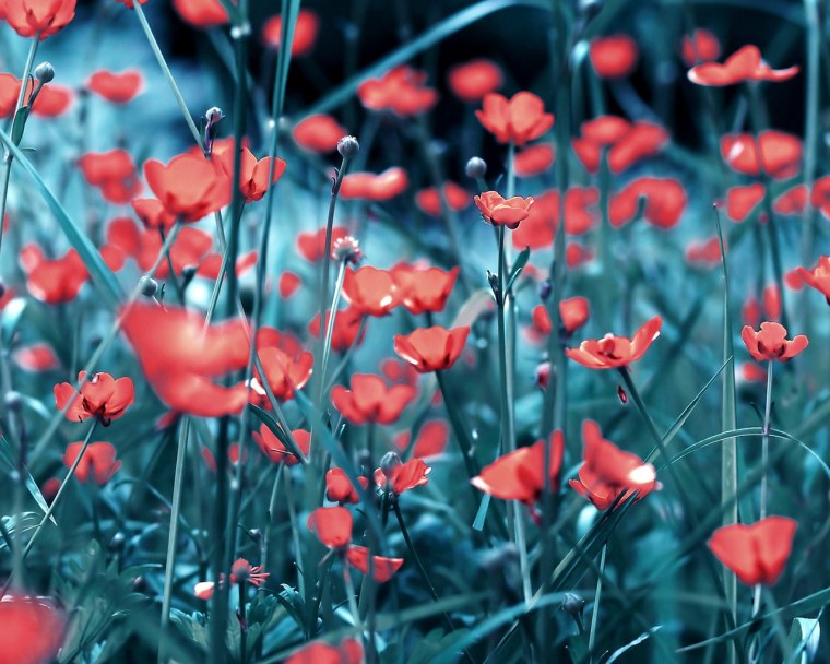 Фон для твиттера