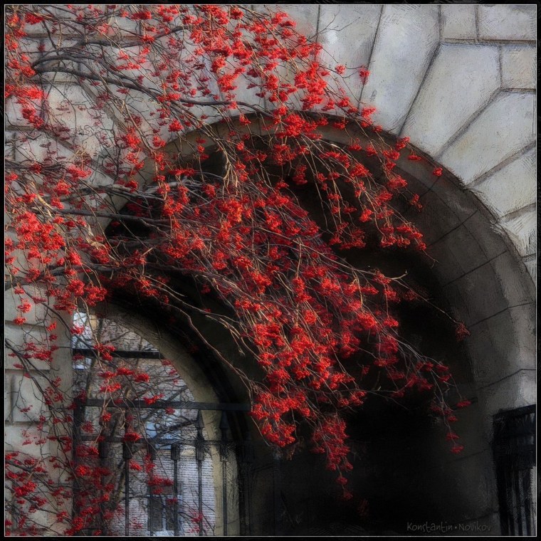 Чёрно красная Эстетика