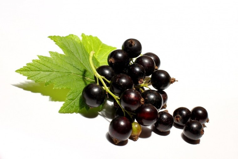 Гроздь смородины