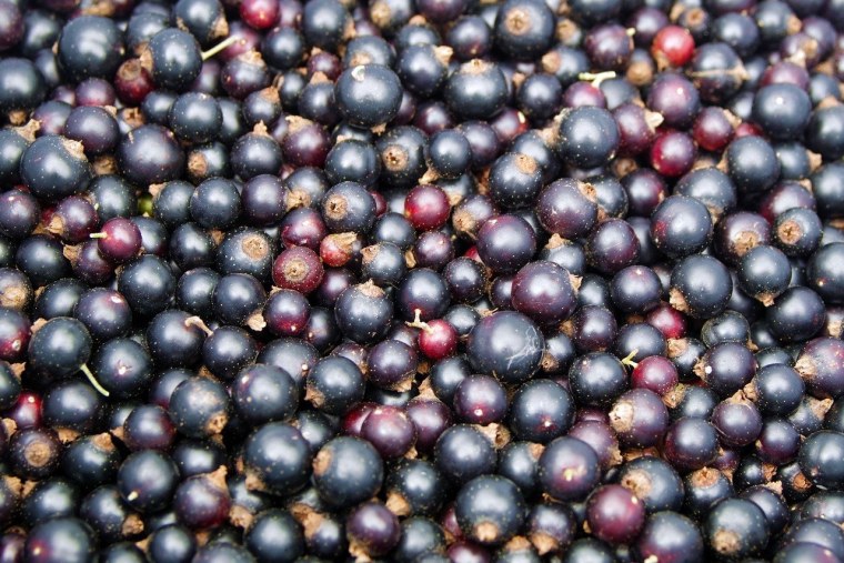 Смородина россыпью