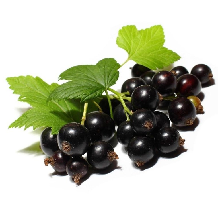 Смородина Журавушка