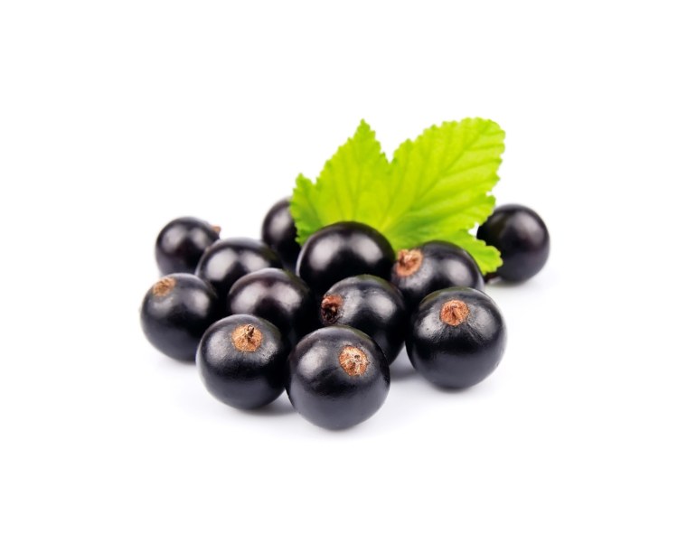 Смородина чёрная