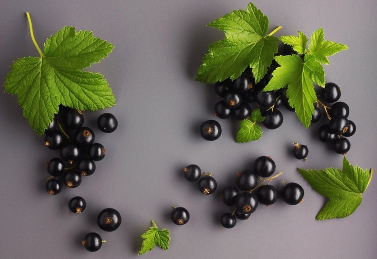 Лист смородины