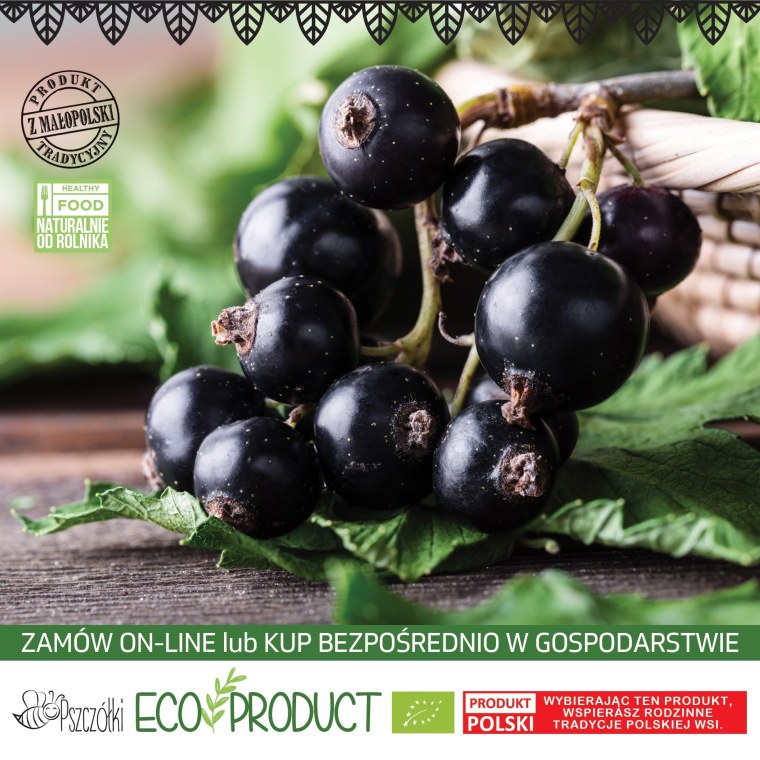 Смородина черная очарование