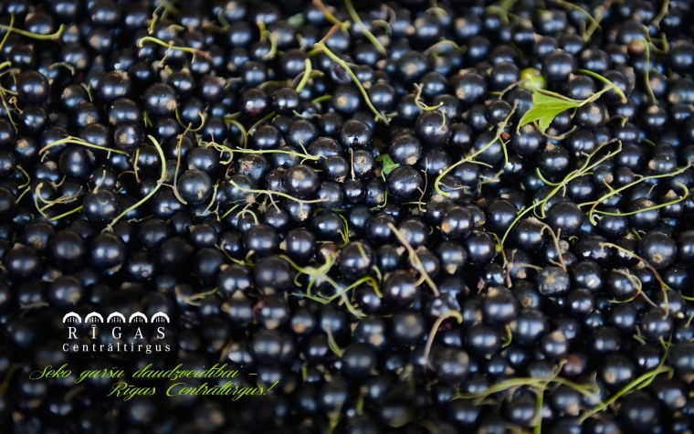 Смородина чёрная