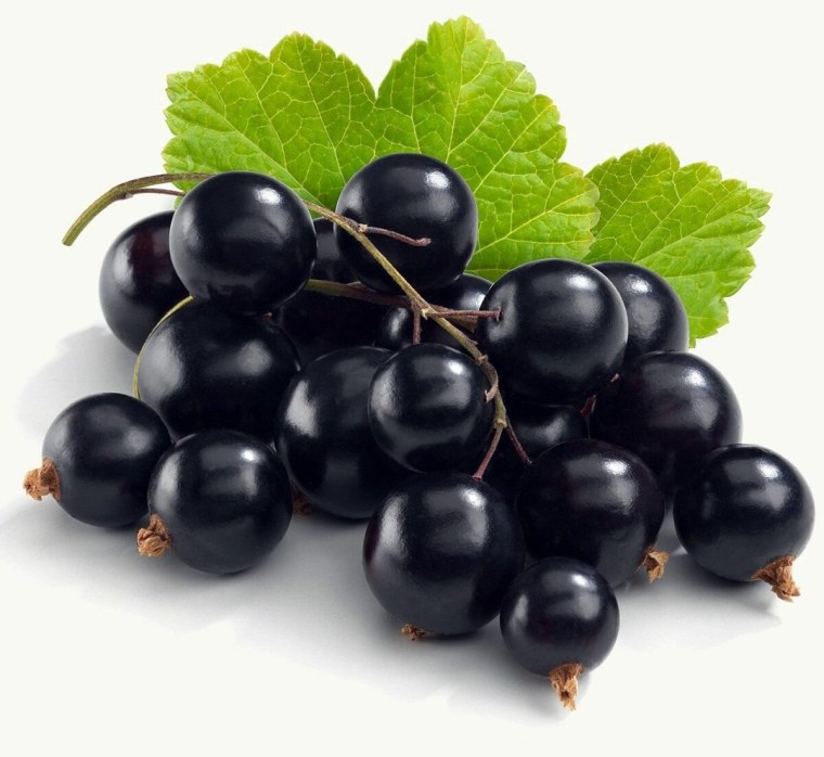 Смородина чёрная