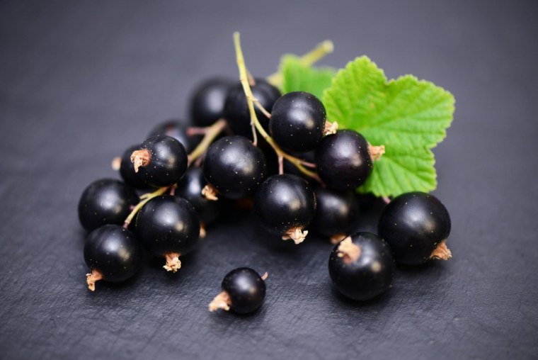 Черная смородина Орес