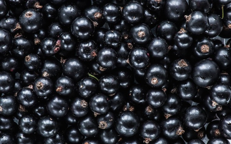 Смородина чёрная