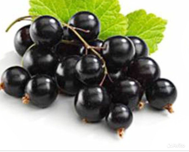 Черная смородина на прозрачном фоне
