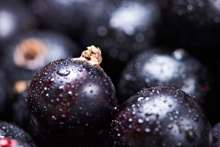 Черная смородина Макросъемка