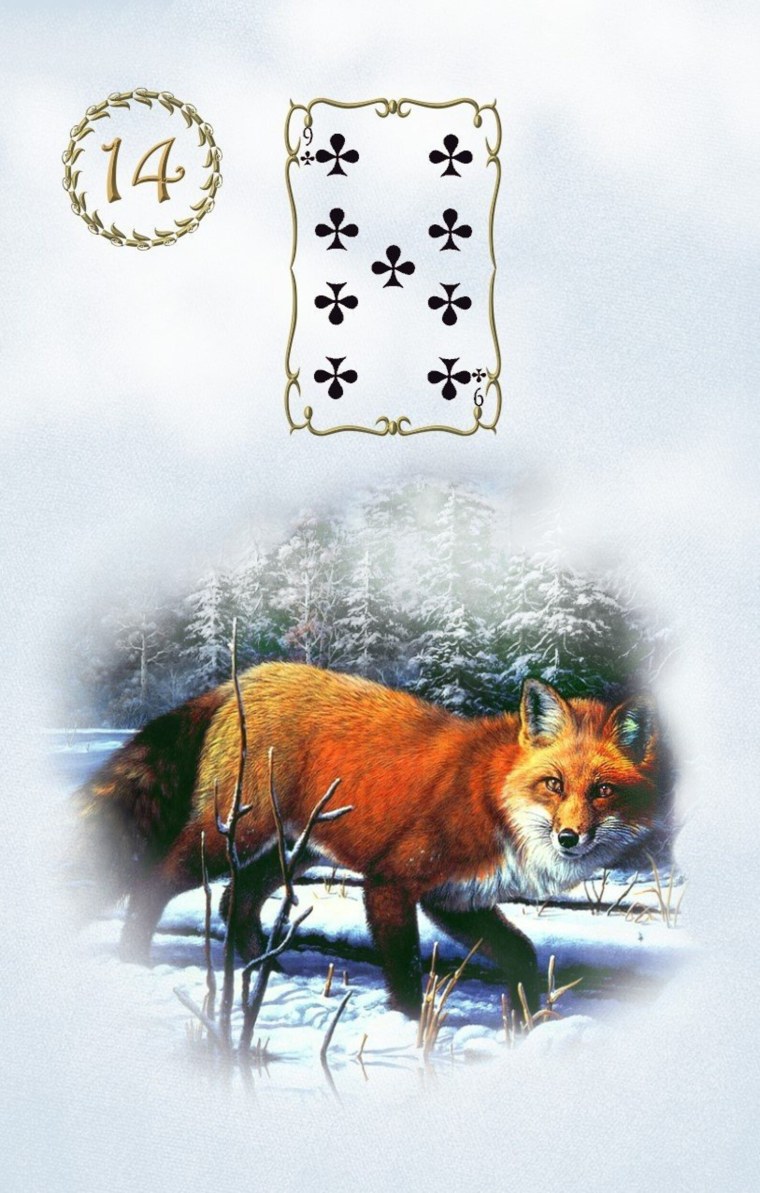 Медведь Ленорман