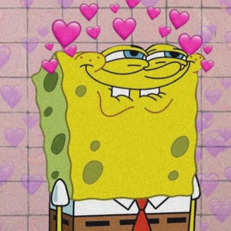 Шторка для ванны spanch Bob