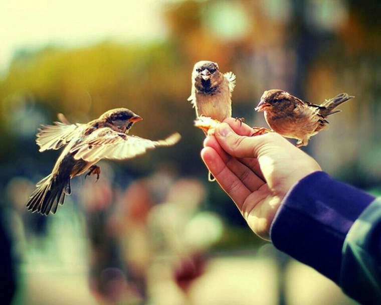 Добро картинки красивые