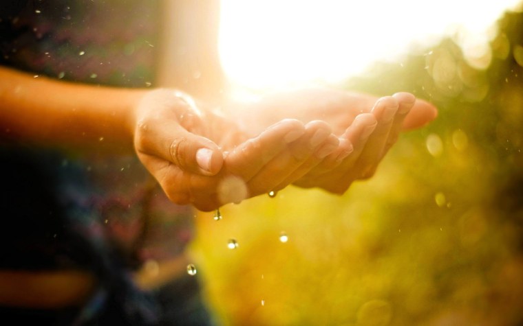 Кто берет наполняет ладони кто отдает наполняет сердце