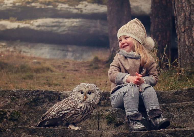 Птицы для детей