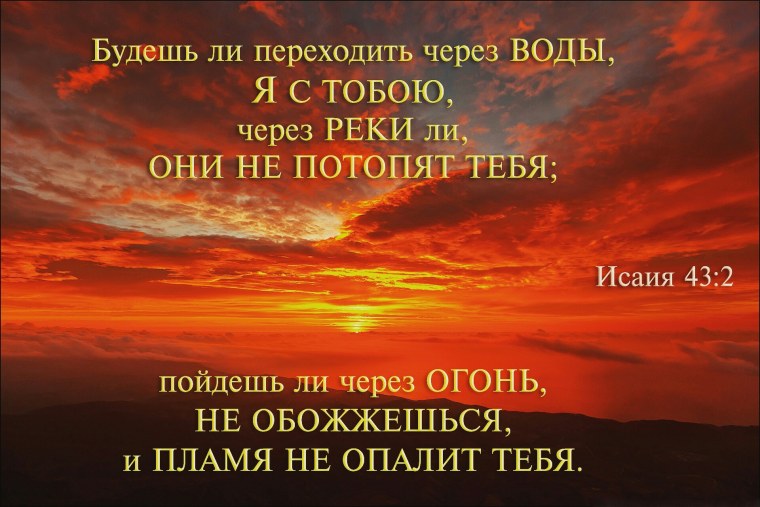 Стихи из Библии