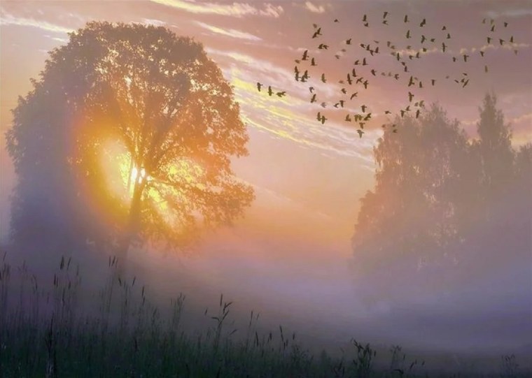 Чудеса приходят на рассвете