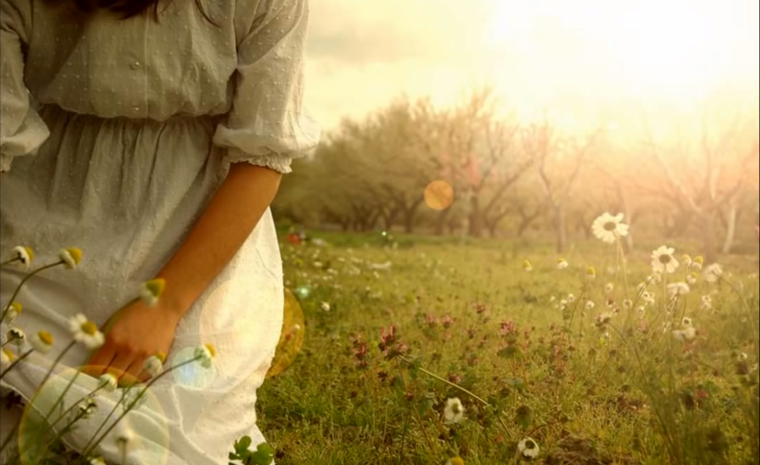 Приходите ко мне с ромашками потому