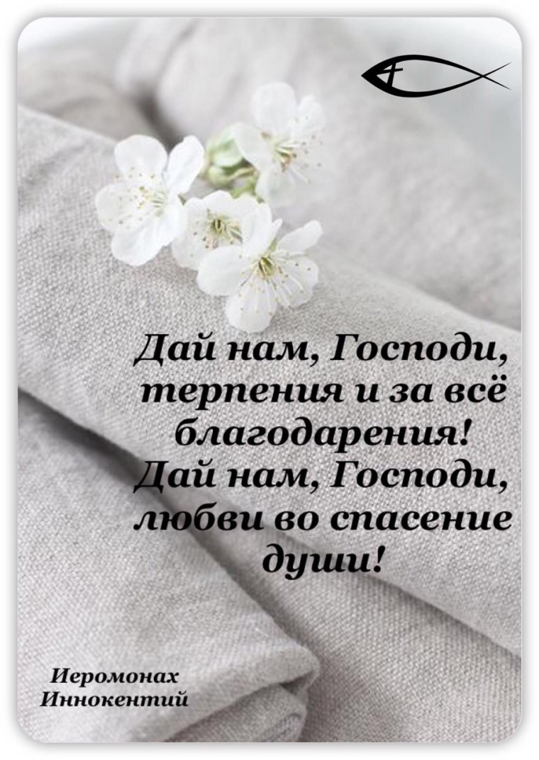 Терпением вашим спасайте души ваши