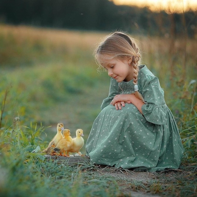 Доброта простота