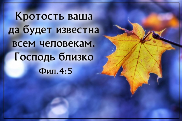 Кротость ваша да будет известна всем