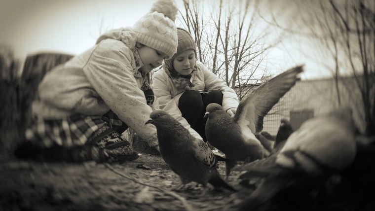 Кротость фото