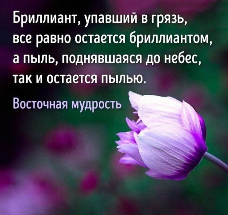 Красивые цитаты