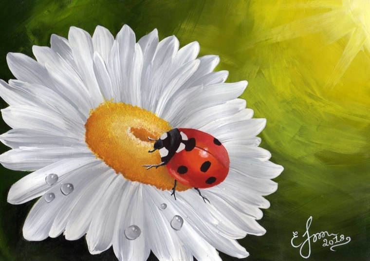 Божья коровка на ромашке