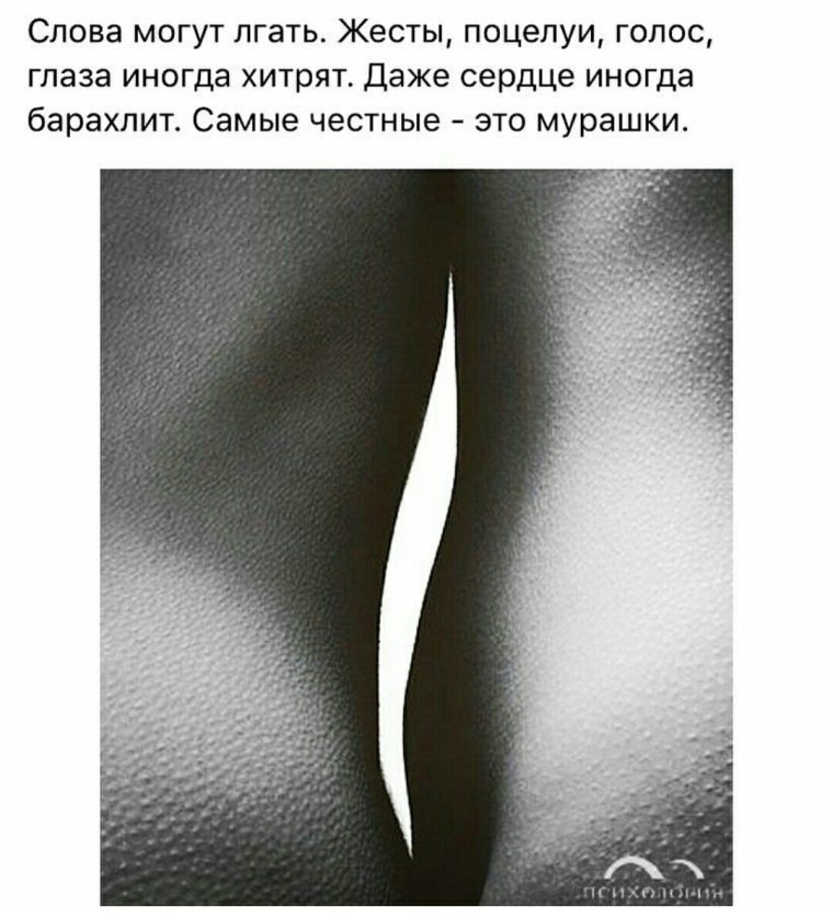 Фразы про мурашки