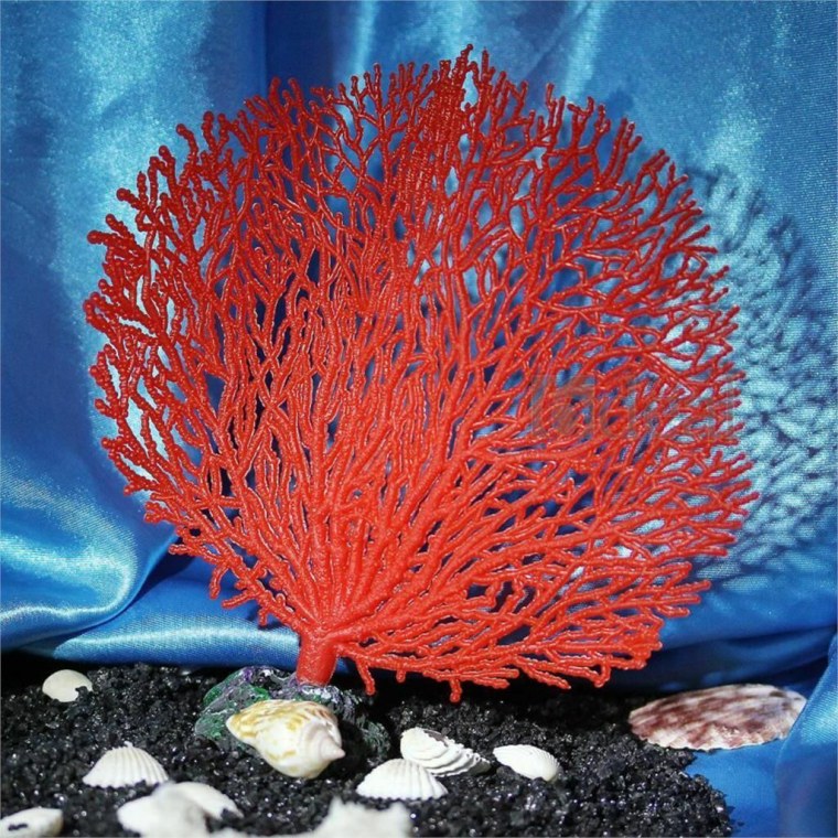 Кораллы для аквариума