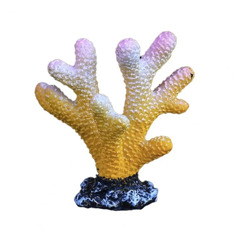 Кораллы в морском аквариуме