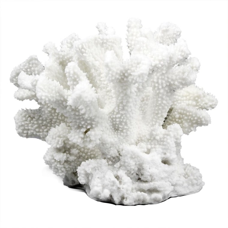 Белый декор кораллы