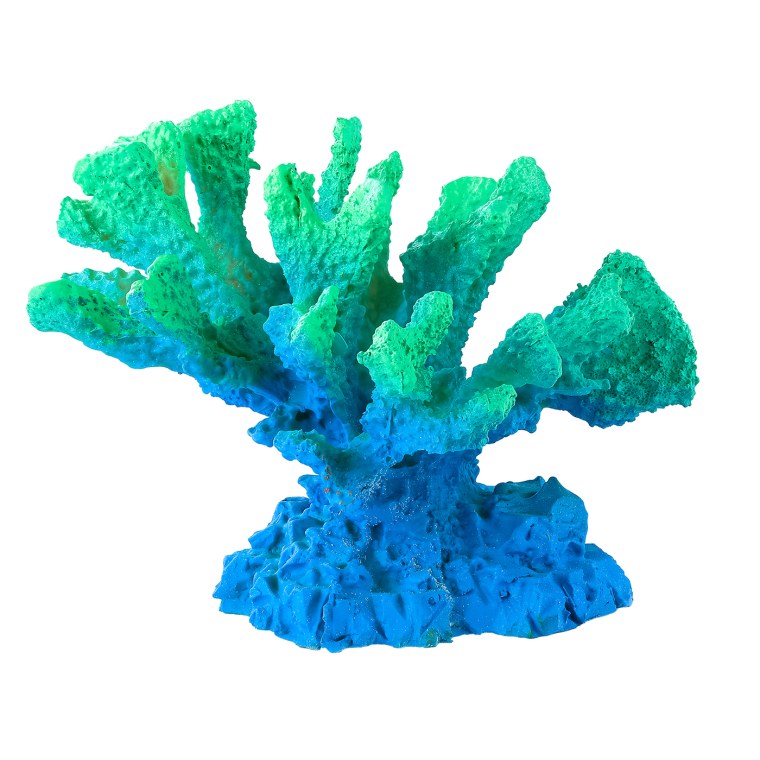 Кораллы для аквариума Марвелоус Аква