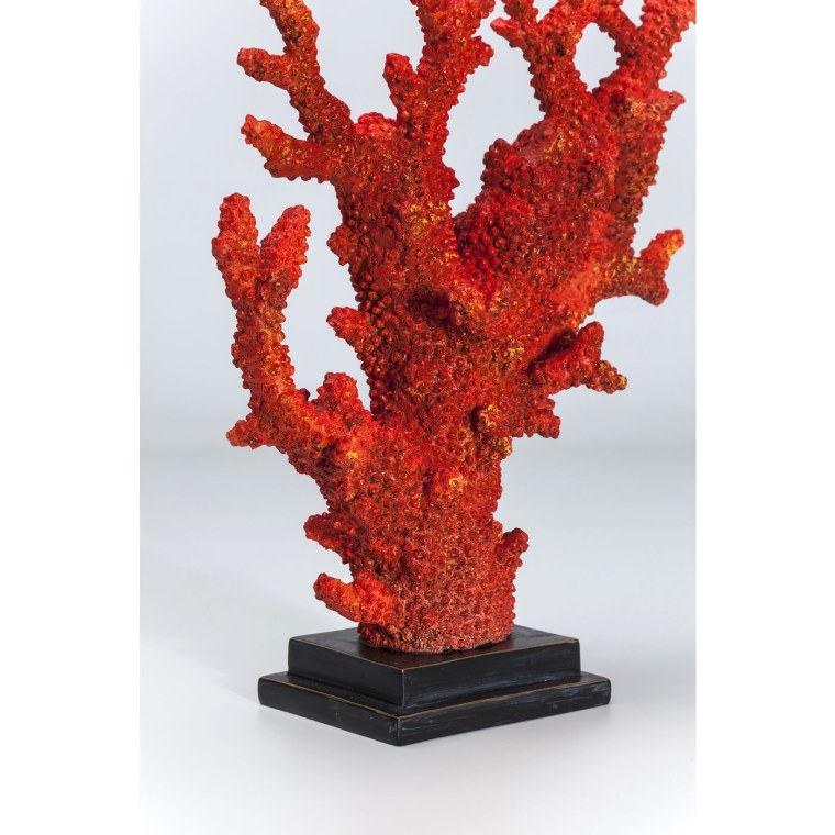 Ланда коралл коралл